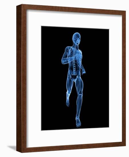 Running Skeleton, Artwork-SCIEPRO-Framed Photographic Print