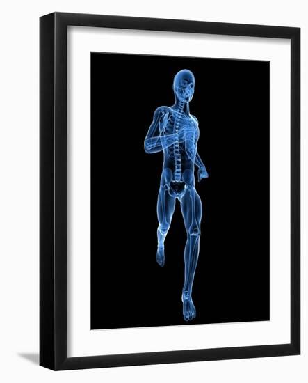 Running Skeleton, Artwork-SCIEPRO-Framed Photographic Print