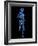 Running Skeleton, Artwork-SCIEPRO-Framed Photographic Print