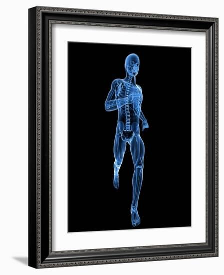 Running Skeleton, Artwork-SCIEPRO-Framed Photographic Print