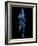 Running Skeleton, Artwork-SCIEPRO-Framed Photographic Print