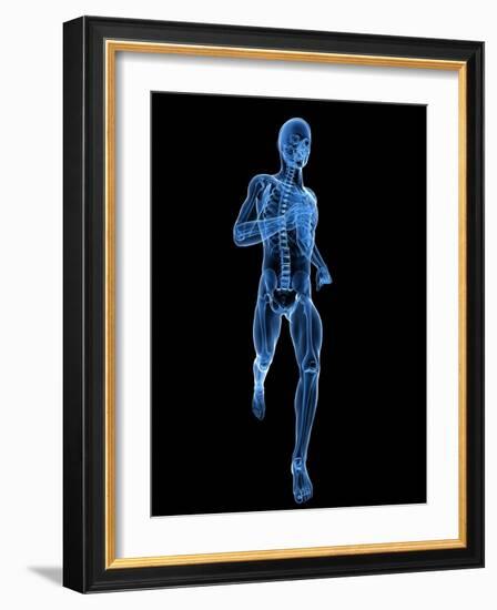 Running Skeleton, Artwork-SCIEPRO-Framed Photographic Print