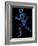 Running Skeleton, Artwork-SCIEPRO-Framed Photographic Print