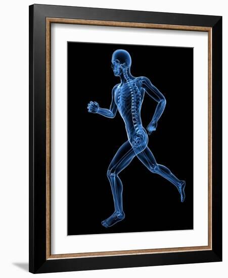 Running Skeleton, Artwork-SCIEPRO-Framed Photographic Print