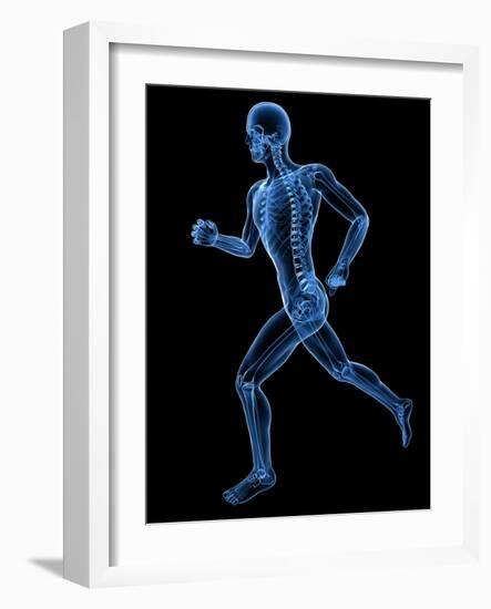 Running Skeleton, Artwork-SCIEPRO-Framed Photographic Print