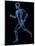 Running Skeleton, Artwork-SCIEPRO-Mounted Photographic Print