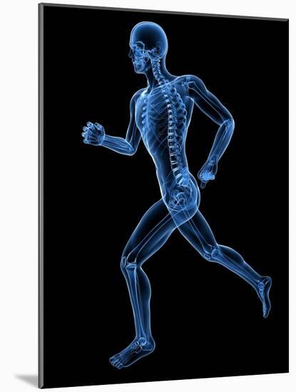 Running Skeleton, Artwork-SCIEPRO-Mounted Photographic Print