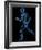 Running Skeleton, Artwork-SCIEPRO-Framed Photographic Print