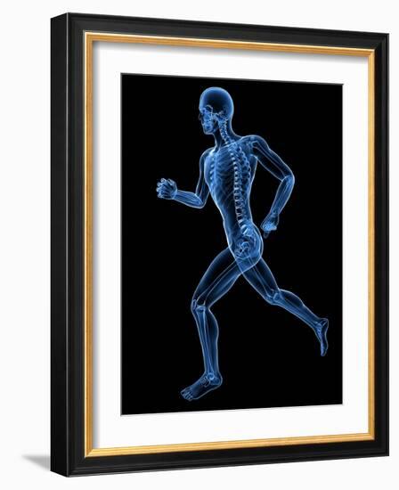 Running Skeleton, Artwork-SCIEPRO-Framed Photographic Print