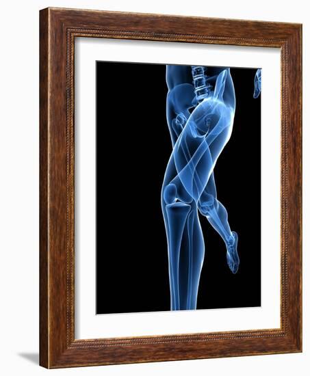 Running Skeleton, Artwork-SCIEPRO-Framed Photographic Print