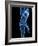 Running Skeleton, Artwork-SCIEPRO-Framed Photographic Print