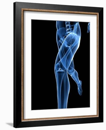 Running Skeleton, Artwork-SCIEPRO-Framed Photographic Print