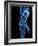 Running Skeleton, Artwork-SCIEPRO-Framed Photographic Print