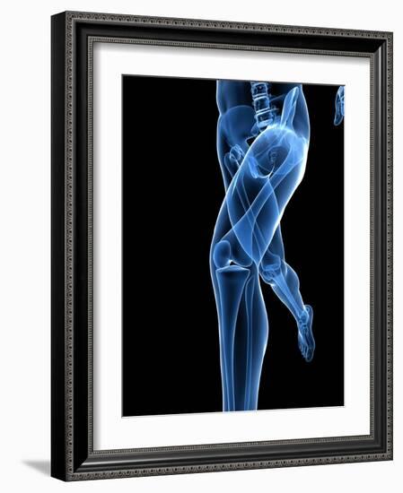 Running Skeleton, Artwork-SCIEPRO-Framed Photographic Print