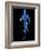 Running Skeleton, Artwork-SCIEPRO-Framed Photographic Print