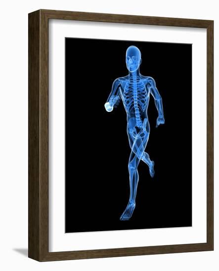 Running Skeleton, Artwork-SCIEPRO-Framed Photographic Print