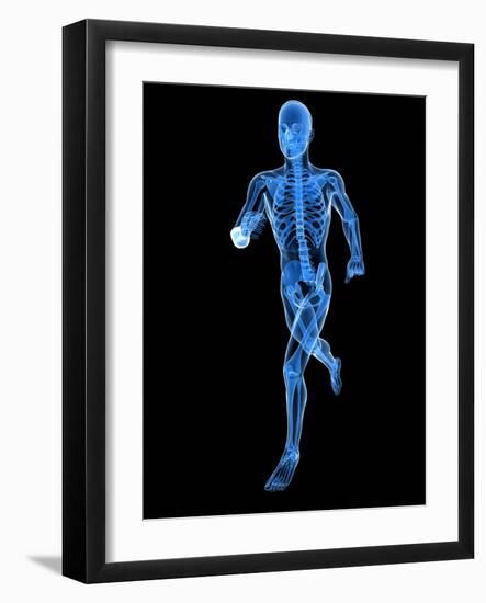 Running Skeleton, Artwork-SCIEPRO-Framed Photographic Print