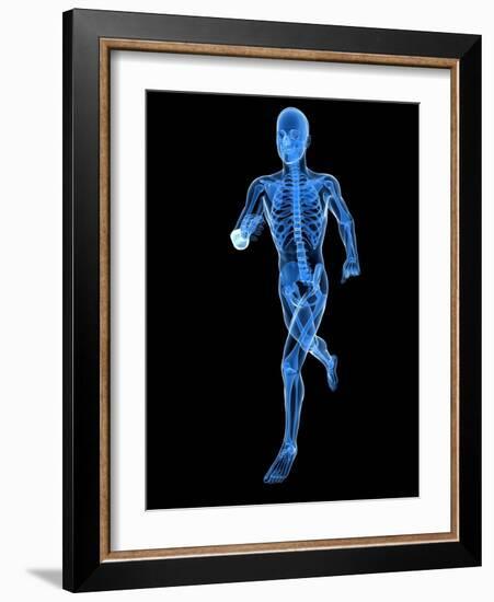 Running Skeleton, Artwork-SCIEPRO-Framed Photographic Print