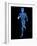 Running Skeleton, Artwork-SCIEPRO-Framed Photographic Print