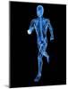 Running Skeleton, Artwork-SCIEPRO-Mounted Photographic Print