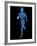 Running Skeleton, Artwork-SCIEPRO-Framed Photographic Print