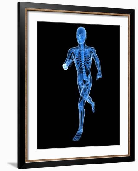 Running Skeleton, Artwork-SCIEPRO-Framed Photographic Print