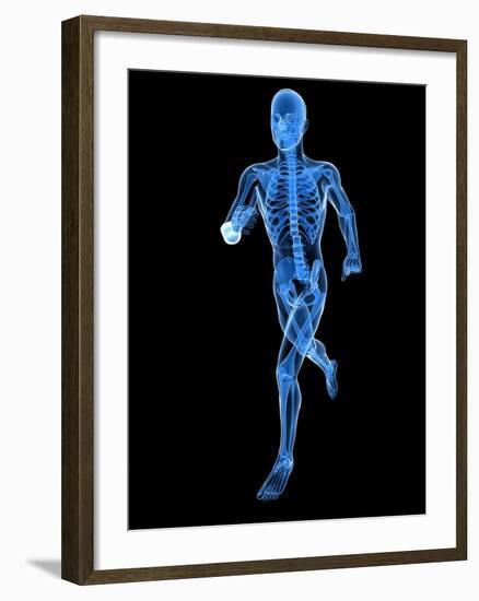 Running Skeleton, Artwork-SCIEPRO-Framed Photographic Print