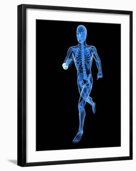 Running Skeleton, Artwork-SCIEPRO-Framed Photographic Print