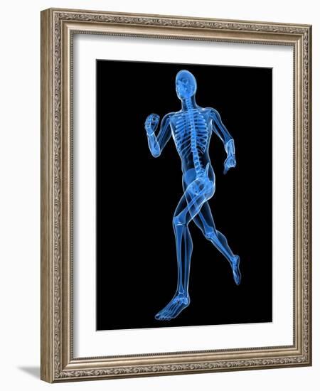 Running Skeleton, Artwork-SCIEPRO-Framed Photographic Print