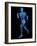 Running Skeleton, Artwork-SCIEPRO-Framed Photographic Print