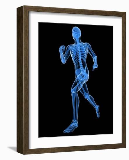 Running Skeleton, Artwork-SCIEPRO-Framed Photographic Print