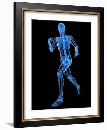 Running Skeleton, Artwork-SCIEPRO-Framed Photographic Print