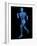 Running Skeleton, Artwork-SCIEPRO-Framed Photographic Print