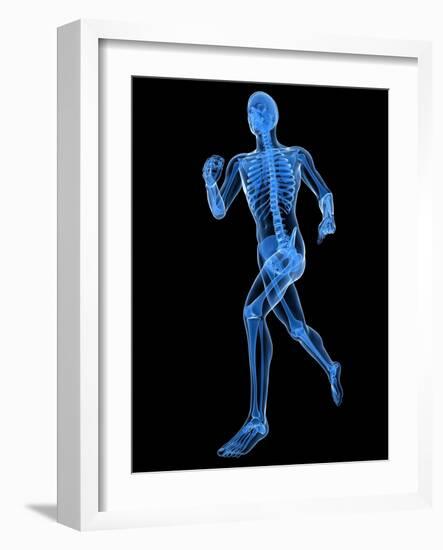 Running Skeleton, Artwork-SCIEPRO-Framed Photographic Print