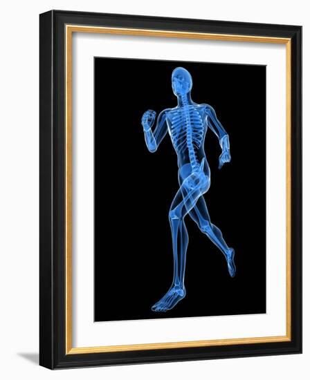 Running Skeleton, Artwork-SCIEPRO-Framed Photographic Print