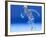 Running Skeleton In Body, Artwork-Roger Harris-Framed Photographic Print