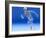 Running Skeleton In Body, Artwork-Roger Harris-Framed Photographic Print