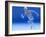 Running Skeleton In Body, Artwork-Roger Harris-Framed Photographic Print