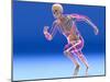 Running Skeleton In Body, Artwork-Roger Harris-Mounted Photographic Print