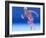 Running Skeleton In Body, Artwork-Roger Harris-Framed Photographic Print