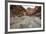 Running Stream-Andrew Geiger-Framed Giclee Print