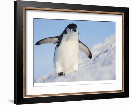 Running Up That Hill-Hillebrand Breuker-Framed Giclee Print