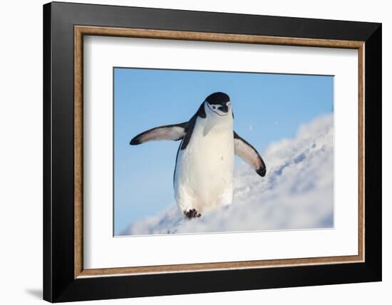 Running Up That Hill-Hillebrand Breuker-Framed Photographic Print