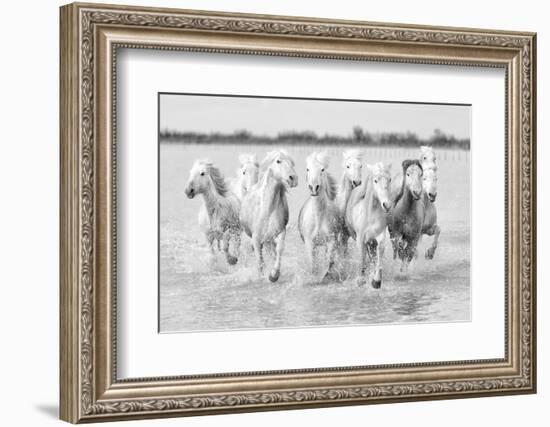 Running wild horses-Marco Carmassi-Framed Photographic Print