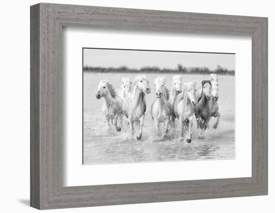 Running wild horses-Marco Carmassi-Framed Photographic Print