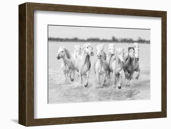 Running wild horses-Marco Carmassi-Framed Photographic Print