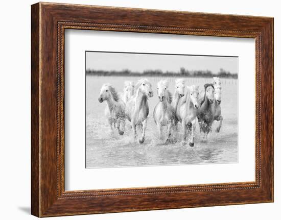 Running wild horses-Marco Carmassi-Framed Photographic Print