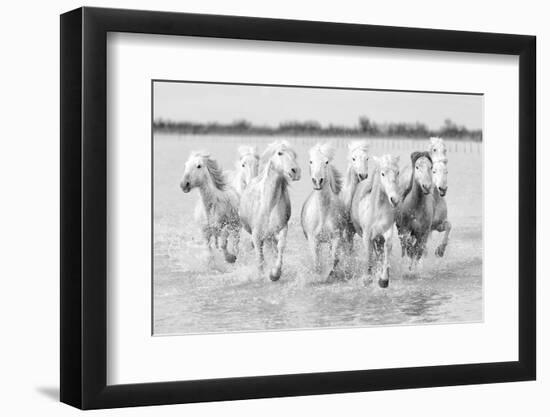Running wild horses-Marco Carmassi-Framed Photographic Print