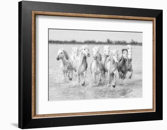 Running wild horses-Marco Carmassi-Framed Photographic Print