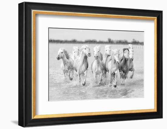 Running wild horses-Marco Carmassi-Framed Photographic Print